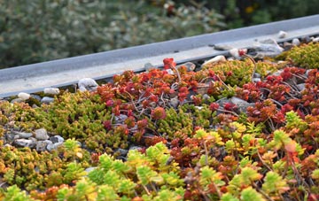 the cost of Coxlodge green roof installation
