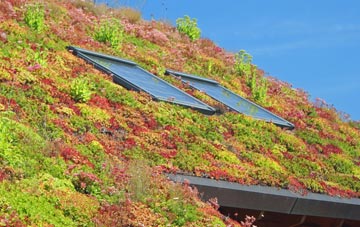 Coxlodge living roof systems